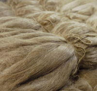 Scutched Linen / Flax Long Fiber