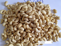 Vietnamese Cashew Nut Kernels WW450