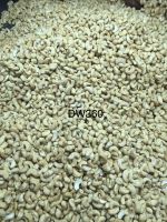 Vietnamese Cashew Nut Kernels DW360