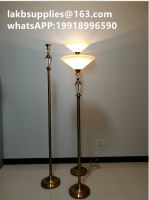 chapel viewing lights