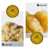 Food Grade WQA Certificate Ion Exchange