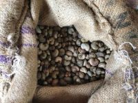 Raw cashew nut in shell and coconut oil