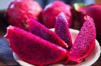 Free Sample Fresh Dragon Fruits From South Africa, Cheap Price Stock Available