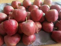  Fresh Fruits Red Fuji Apples For Sell At Cheap Price