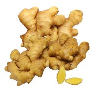 Wholesale organic fresh ginger for export fresh ginger supplier export bulk ginger