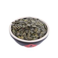 25kg/bag hot sale good quality and low price South Africa raw pumpkin seed kernels GWS