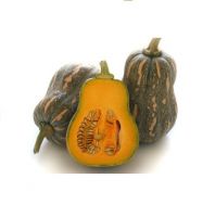 Providing fresh Pumpkin pumpkin price from South Africa with top quality _Vikafoods
