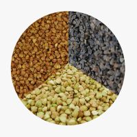 New crop Sweet Buckwheat grain raw buck wheat buckwheat kernels From South Africa