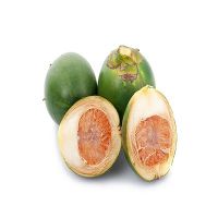 DRIED WHOLE BETEL NUTS/ ARECA NUTS FROM SOUTH AFRICA WITH BEST PRICE From South Africa