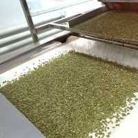 Best Price New Crop Pumpkin Seeds Kernels Vacuum Packed Pumpkin Kernels Organic Dried Pumpkin Kernels From South Africa