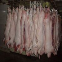 Frozen boneless rabbit meat From South Africa