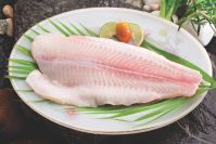 Tilapia And Pangasius