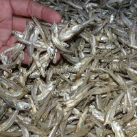 Dried Anchovies- Whatsapp No. +84 903 887 753