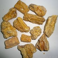DARMA BATU Whatsapp No. +84 903 887 753