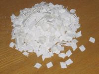 Nitrocellulose Chip