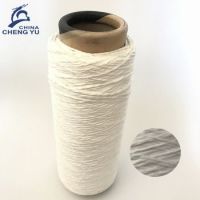 Microfiber Mop Yarn 300d/192f/288f For Making Mops