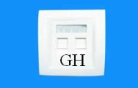 two port face plate (GH-08)