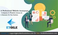 Website Development From India