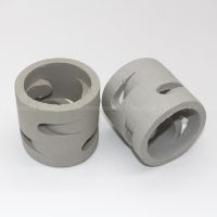 25mm 38mm 50mm 80mm Ceramic Random Packing Ceramic Pall Ring From China