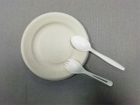 5/6/7/8 inch biodegradable natural-pulp plate with stripe edge Compostable plates without harmful products