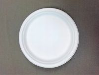 Compostable natural-pulp 10 inch round plate biodegradable bagasse fiber and wheat straw fiber plate