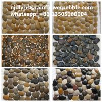 Mixed Color Tumbled Pebble Stone Colored
