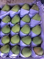 VietNam's mangoes