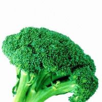 Broccoli Extract