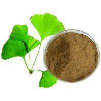 Ginkgo Biloba Extract