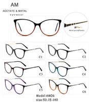 Metal Acetate Eyeglasses Frames AM06