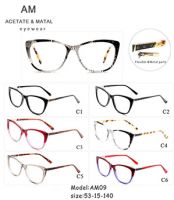 Metal Acetate Eyeglasses Frames AM09