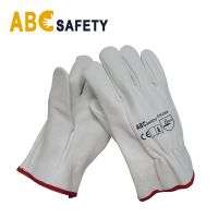 ABC SAFETY Smooth and Soft Skin Driver Glove, Without Lining. Straight Thumb, Elastic Back.