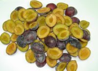 frozen  plum