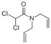 Dichlormid