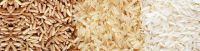Basmati And Kainat Rice