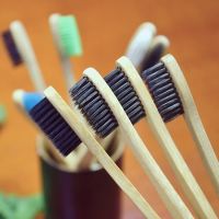 100% Biodegradable Bamboo Toothbrush