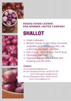 Indonesia Red Shallot