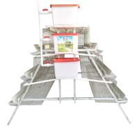 Automatic poultry  farming equipment hen chicken cage