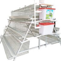 Best Sale Poultry Battery Egg Layer Cages For Chicken