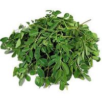 ORGANIC DRY MORINGA LEAF