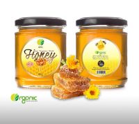 Oti Raw Wild Honey