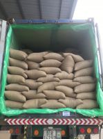 Coffee Beans From Vietnam. From Russia