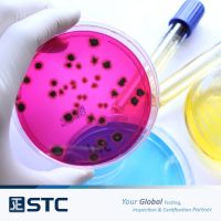 STC - Microbiology &amp;amp;amp;amp; Sanitation Testing