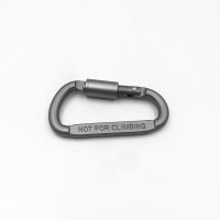  D-Ring Snap Clip Hook Buckle Keychain Keyring Hiking Climbing NEW From China