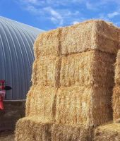 Wheat straw Bales