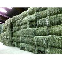 Premium Quality Best Selling Alfalfa Hay/Alfalfa Hay For Animal feeding 