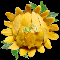 Tropic Soft dried Mango - Email: *****