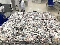 Pangasius Skin
