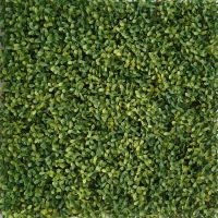 Premium Artificial Boxwood Hedge Panel