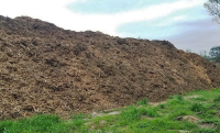 WOOD CHIPS From USA